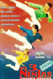 3 Ninjas Contra-Atacam