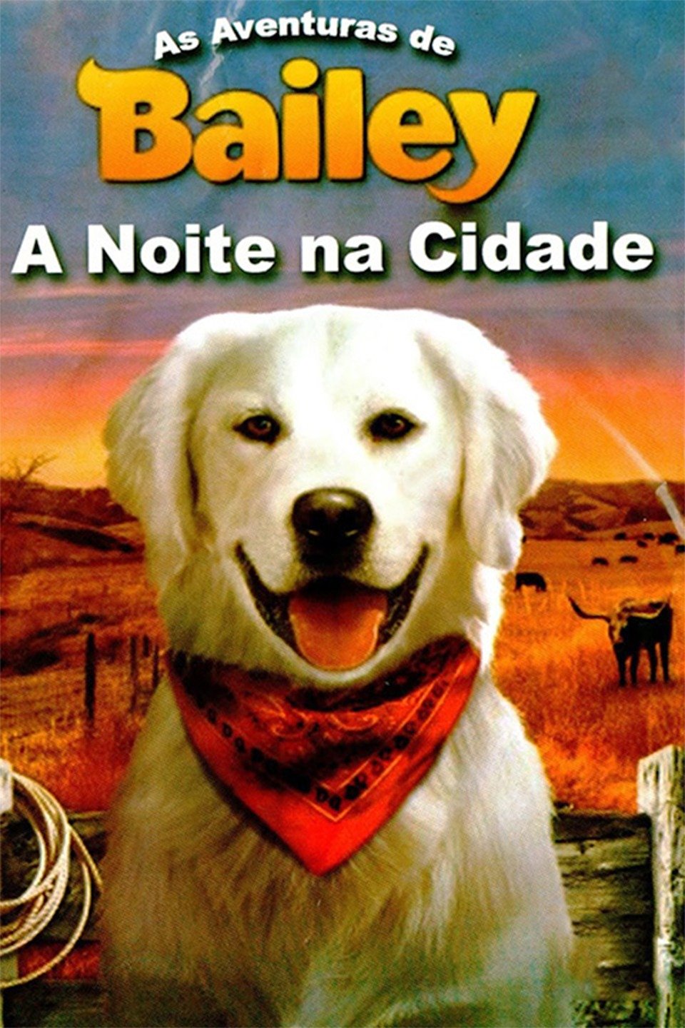 As Aventuras de Bailey: A Noite na Cidade