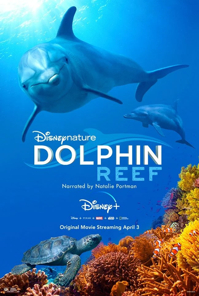 Capa do filme