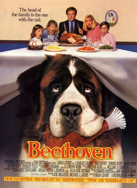 Beethoven, O Magnífico