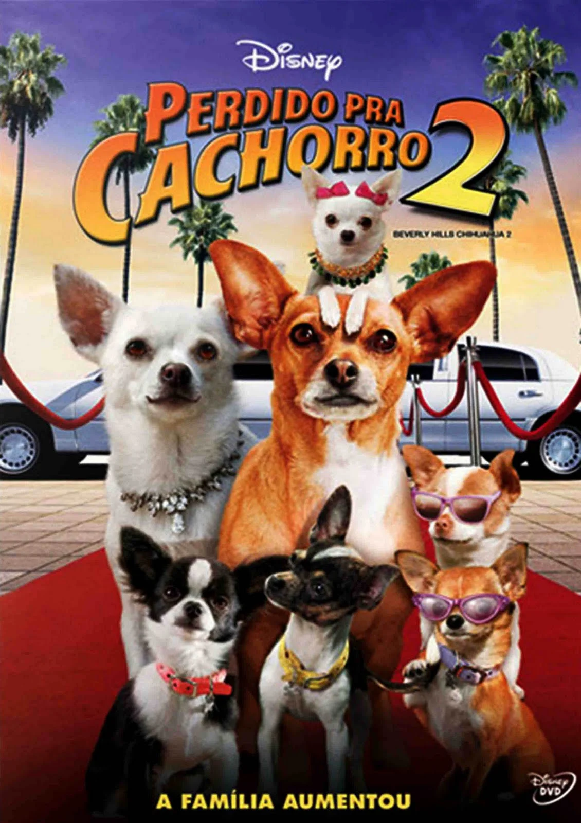 Perdido pra Cachorro 2