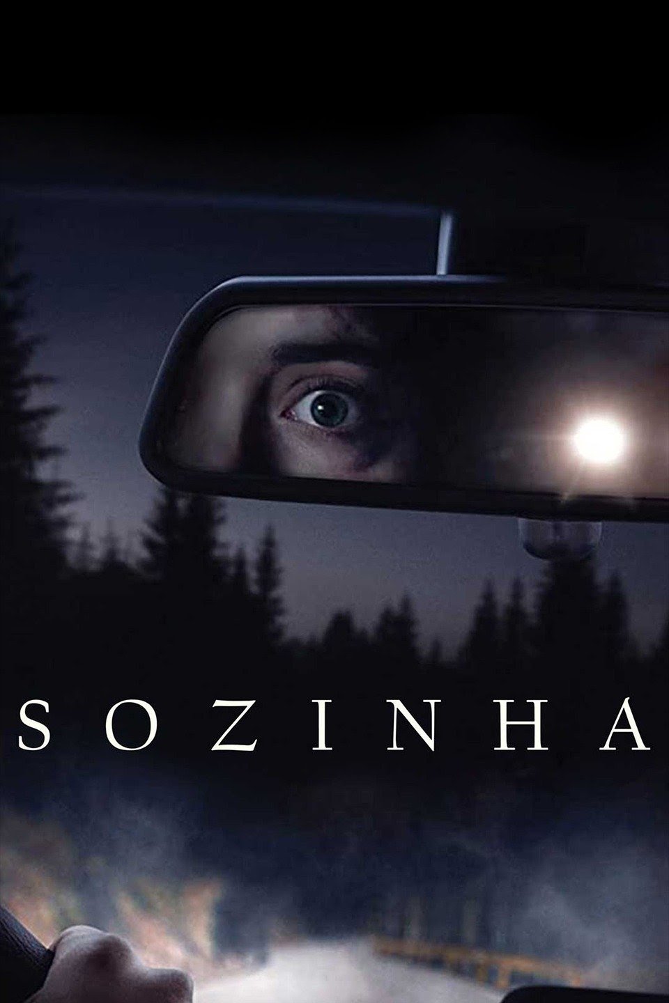 Capa do filme