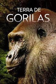 Capa do filme