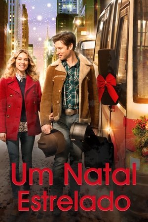 Capa do filme Um Natal Estrelado