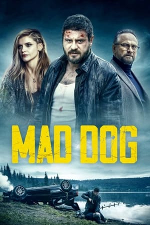Capa do filme No Limite do Mal