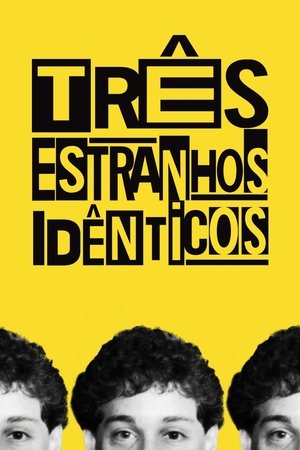 Capa do filme Três Estranhos Idênticos