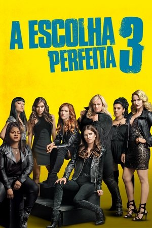Capa do filme A Escolha Perfeita 3