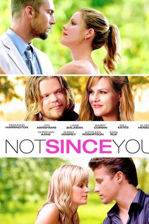Capa do filme Desde a Última Vez
