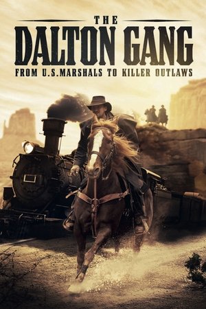 Capa do filme Do Outro Lado da Lei