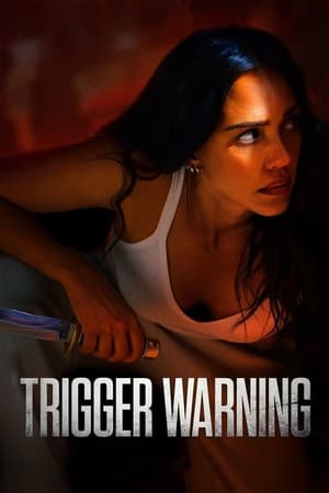 Capa do filme Alerta de Risco