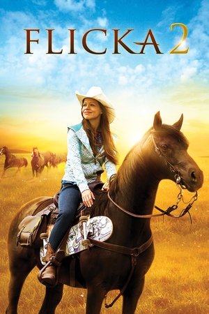 Capa do filme Flicka 2