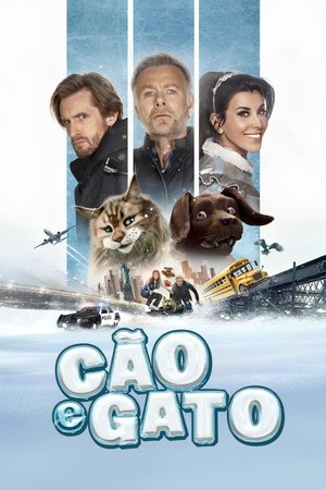 Capa do filme Cão e Gato
