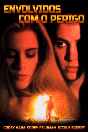 Capa do filme Envolvidos com o Perigo