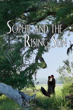 Capa do filme Sophie e o Sol Nascente