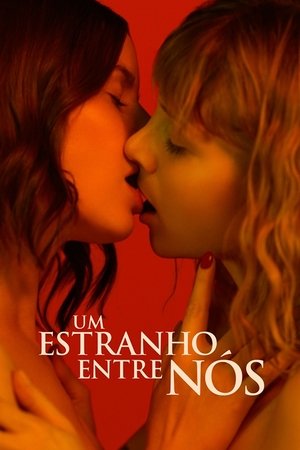 Capa do filme Um Estranho Entre Nós