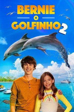 Capa do filme Bernie, O Golfinho 2