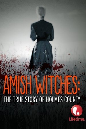 Capa do filme As Bruxas Amish