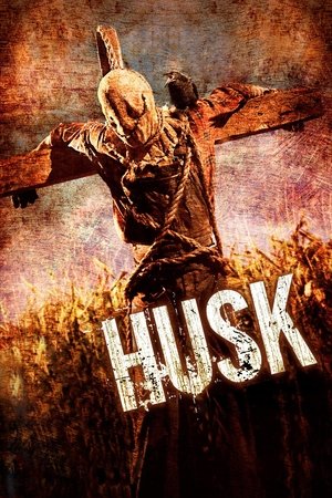 Capa do filme Espantalho