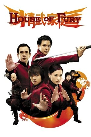 Capa do filme Casa da Fúria