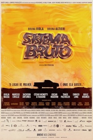 Capa do filme Sistema Bruto