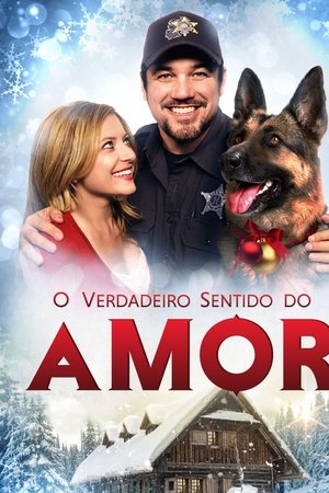 Capa do filme O Verdadeiro Sentido do Amor
