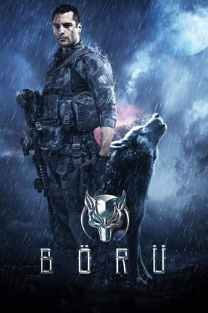 Capa do filme Esquadrão Lobo