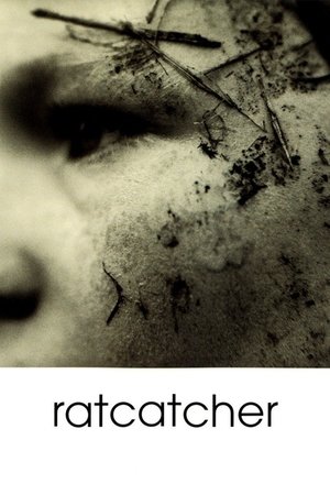 Capa do filme O Lixo e o Sonho
