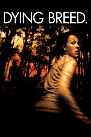 Capa do filme Raça Selvagem
