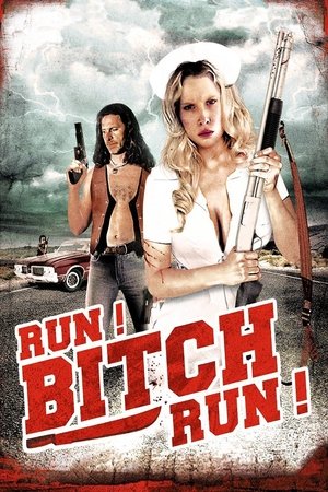 Capa do filme Run! Bitch Run!