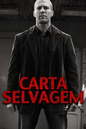 Capa do filme Carta Selvagem