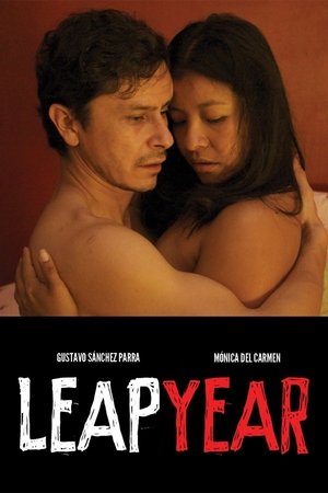 Capa do filme Ano Bissexto