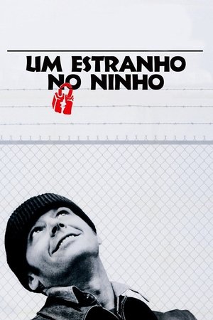 Capa do filme Um Estranho no Ninho