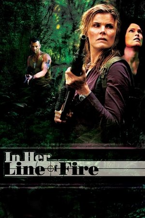 Capa do filme Força Aérea 2