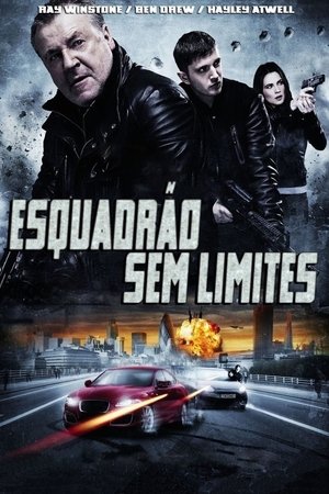 Capa do filme Esquadrão Sem Limites