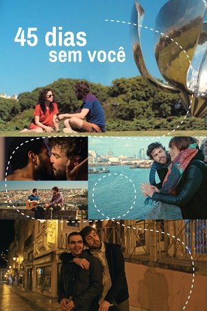 Capa do filme 45 Dias Sem Você