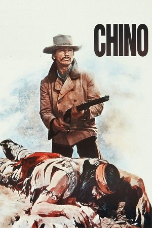 Capa do filme Chino: Valdez, o Mestiço