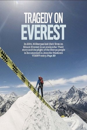 Capa do filme Avalanche No Everest