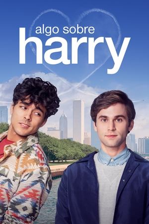 Capa do filme Algo Sobre Harry