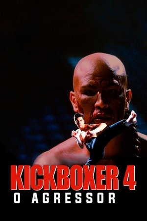 Capa do filme Kickboxer 4: O Agressor