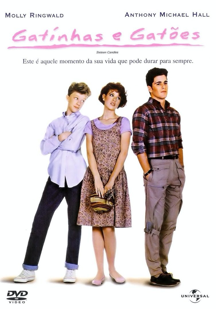 Capa do filme Gatinhas e Gatões