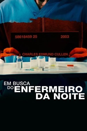 Capa do filme Em Busca do Enfermeiro da Noite
