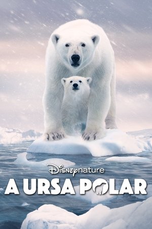 Capa do filme A Ursa Polar