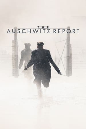 Capa do filme O Protocolo de Auschwitz
