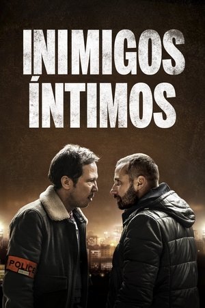 Capa do filme Inimigos Íntimos