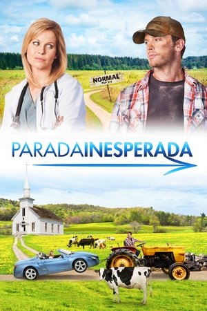 Capa do filme Parada Inesperada