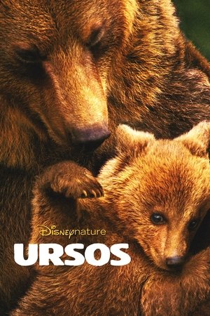 Capa do filme Ursos