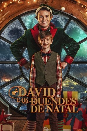 Capa do filme David e os Duendes de Natal