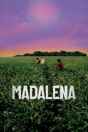 Capa do filme Madalena