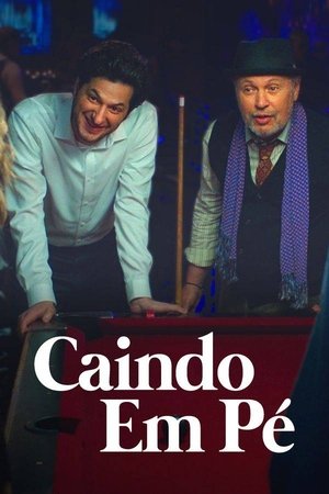 Capa do filme Caindo em Pé