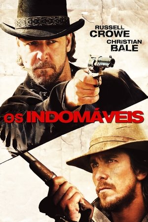 Capa do filme Os Indomáveis